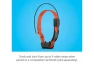 Thumbnail GPS Dog Tracking and Training Collar — Dog GPS Tracker, Garmin