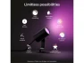 Thumbnail Hue White and Color Ambiance Lily Outdoor Smart Lights — Smart Outdoor Lighting, Philips
