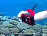 Thumbnail Red Digital Camera — Digital Cameras & Camcorders, OM System