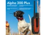 Thumbnail Dog Tracking and Training GPS Handheld with Tracking Collar — Dog GPS Tracker, Garmin
