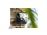 Thumbnail Wireless Outdoor Camera System — Security Camera, Blink
