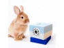 Thumbnail Indoor Security Camera for Pets Petite — Security Camera, Amaryllo