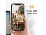 Thumbnail Indoor Security Camera for Pets Petite — Security Camera, Amaryllo