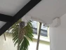 Thumbnail Outdoor Bullet Security Camera — Security Camera, Amaryllo