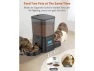 Thumbnail Automatic Cat Feeder — Automatic Pet Feeder, GCROWN