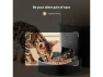 Thumbnail Automatic Cat Feeder — Automatic Pet Feeder, GCROWN