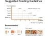 Thumbnail Automatic Pet Feeder — Automatic Pet Feeder, GCROWN