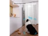 Thumbnail 2K Indoor Security Camera Kit, 2 Cameras — Security Camera, eufy