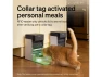 Thumbnail Automatic Cat Feeder — Automatic Pet Feeder, Explus-C