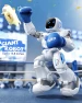 Programmable Interactive RC Robot