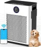 True HEPA Air Purifier with Smart WiFi Control — Air Purifier, FRESHDEW