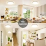 LED Flush Mount Ceiling Light Fixture, SunRider
