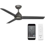 Oil Rubbed Bronze without Light Kit