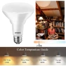 6-Pack LED Recessed Light Bulb, ENERGETIC SMARTER LIGHTING