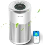1524 ft², True HEPA filter, Amazon Alexa, Google Assistant