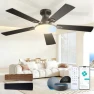 Ceiling Fan with Lights — Smart Fan, Amico