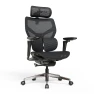 Ergonomic Office Chair with Adaptive Dual-Wing Lumbar Support — Smart Chairs, CabeVibe