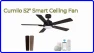 Smart Ceiling Fan with Lights — Smart Fan, cumilo