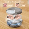 Automatic Wet Food Feeder with Four Meals Design — Automatic Pet Feeder, iPettie