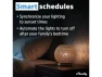 Thumbnail Smart Switch — Smart Switch, Shelly