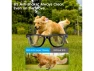 Thumbnail AI Smart Glasses — Smart Glasses, Generic Logic, Inc.