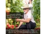 Thumbnail Bluetooth Safety Glasses — Smart Glasses, Generic Logic, Inc.
