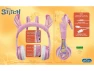 Thumbnail Bluetooth Headphones for Kids — Wireless Earbuds, Disney