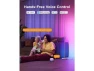 Thumbnail RGBIC Floor Lamp Basic Floor Lamp — Smart Lamps, Govee