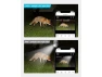 Thumbnail Bulb Security Camera — Security Camera, LaView