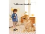 Thumbnail Indoor Security Camera — Security Camera, Noorio