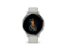 Thumbnail Smart Watch — Smart Watch, Garmin