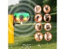 Thumbnail Solar Outdoor Motion Sensor Alarm — Motion Sensor, Generic Logic, Inc.