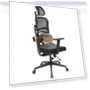 Ergonomic Chair with Adaptive Lower Back Support — Desk Chairs, NEWTRAL