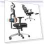Ergonomic Chair with Adaptive Lower Back Support and Footrest — Desk Chairs, NEWTRAL