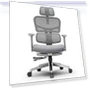 Ergonomic Chair with Adaptive Lower Back Support — Desk Chairs, NEWTRAL