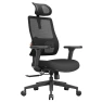 Ergonomic Office Chair with Auto-Following Backrest and Adjustable Headrest — Smart Chairs, NEWTRAL