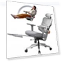 Ergonomic Chair with Adjustable Backrest, Armrest, Headrest, and Footrest - Grey — Desk Chairs, NEWTRAL