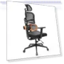 Ergonomic Chair with Adaptive Lower Back Support, Adjustable Armrest and Headrest — Desk Chairs, NEWTRAL