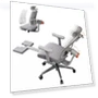 Ergonomic Chair with Footrest, Auto-Following Backrest Headrest, Adaptive Lower Back Support - Gray — Desk Chairs, NEWTRAL