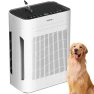 Large Room Air Purifier with H13 HEPA Filter and PM 2.5 Sensor — Air Purifier, TERAIR