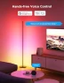 RGBIC Floor Lamp 2-Pack — LED Strip Lights, Govee