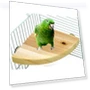 Fan-Shaped Platform Station Board Hamster Springboard Rest Platform — Toys, Parrot Log