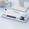 Customized RGB Mechanical Keyboard, AULA