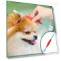 Dual Head Toothbrush for Pets — Toothbrushes