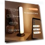 Voice Control Lamp — Standing Lights