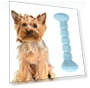 Teething Toys Chewing Gnawing Dog Toothbrush — Toothbrushes