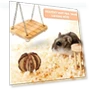 Hamster Seesaw Climbing Ladder Gnawing Teeth String Wooden Set Toy — Toys