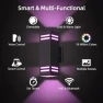 Smart Outdoor Wall Lights RGB, KIZON