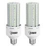 Motion Sensor Light Bulbs, RIUVAO