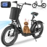 Electric Scooter with Adjustable Seat and Detachable Basket — Electric Scooter, Caroma